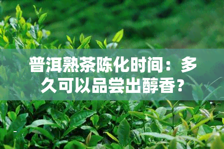 普洱熟茶陈化时间：多久可以品尝出醇香？