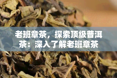 老班章茶，探索顶级普洱茶：深入了解老班章茶