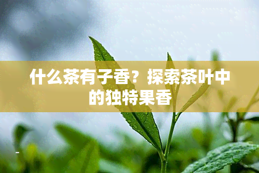 什么茶有子香？探索茶叶中的独特果香