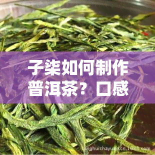 子柒如何制作普洱茶？口感如何？