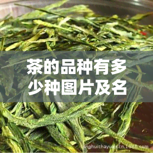 茶的品种有多少种图片及名称？全览各类茶叶图片与名称