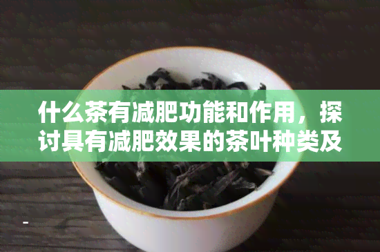 什么茶有减肥功能和作用，探讨具有减肥效果的茶叶种类及其作用