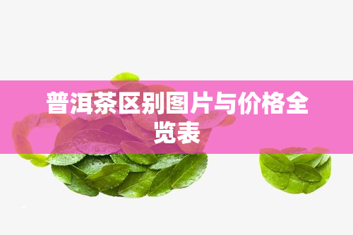 普洱茶区别图片与价格全览表