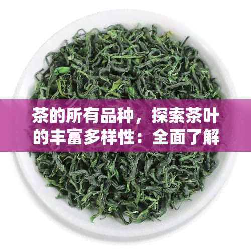 茶的所有品种，探索茶叶的丰富多样性：全面了解茶的所有品种