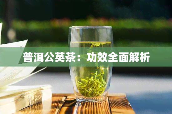 普洱公英茶：功效全面解析