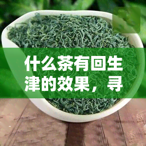 什么茶有回生津的效果，寻找回生津的好茶？这份选购指南帮你找到答案！