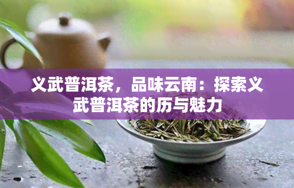 义武普洱茶，品味云南：探索义武普洱茶的历与魅力