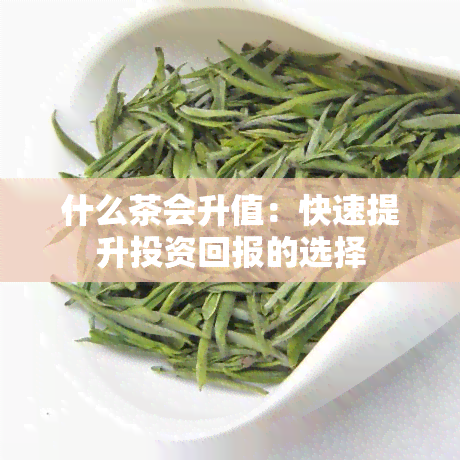 什么茶会升值：快速提升投资回报的选择