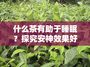 什么茶有助于睡眠？探究安神效果好的茶叶及其功效