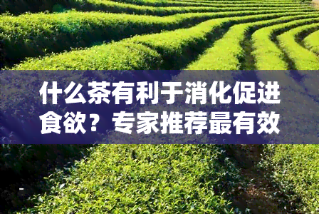 什么茶有利于消化促进食欲？专家推荐最有效的茶叶！