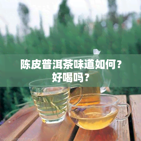 陈皮普洱茶味道如何？好喝吗？