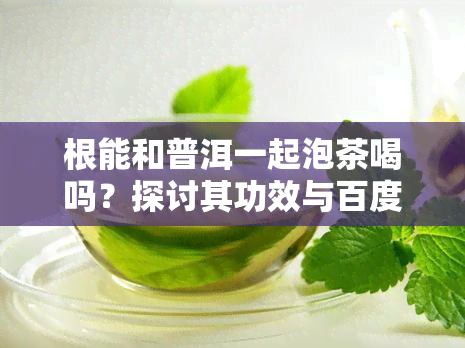 根能和普洱一起泡茶喝吗？探讨其功效与百度搜索结果