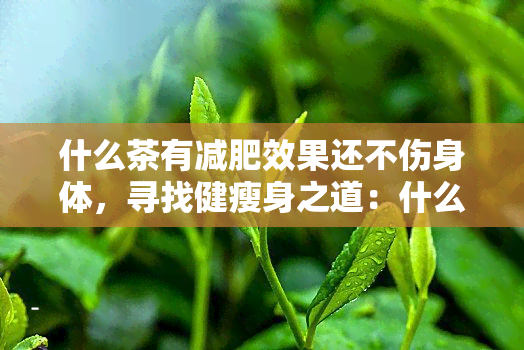 什么茶有减肥效果还不伤身体，寻找健瘦身之道：什么茶有减肥效果且不伤身体？