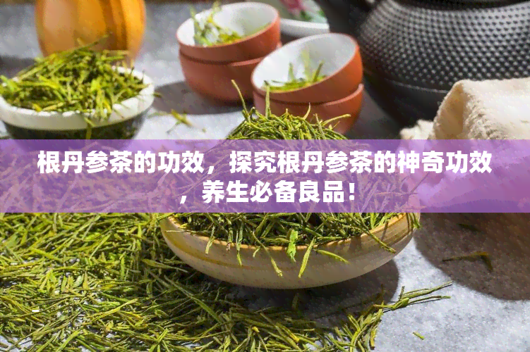 根丹参茶的功效，探究根丹参茶的神奇功效，养生必备良品！