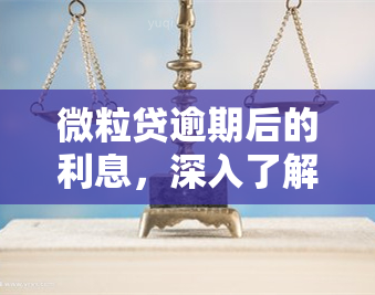 微粒贷逾期后的利息，深入了解微粒贷逾期后的利息计算方式