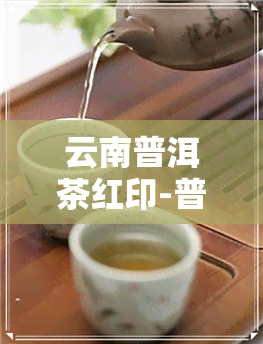 云南普洱茶红印-普洱 红印