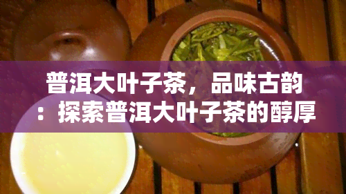 普洱大叶子茶，品味古韵：探索普洱大叶子茶的醇厚韵味与独特魅力