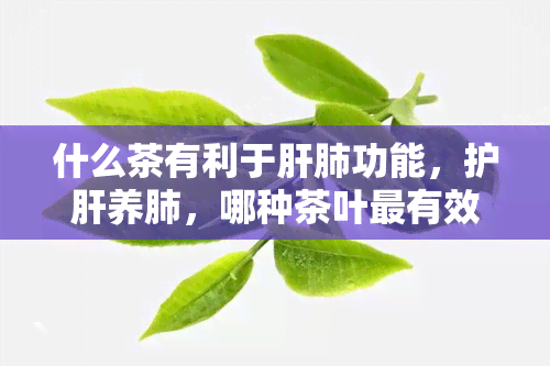 什么茶有利于肝肺功能，护肝养肺，哪种茶叶最有效？