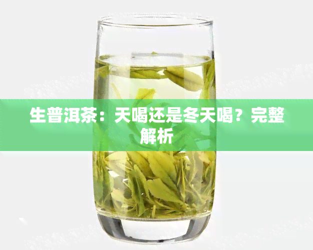 生普洱茶：天喝还是冬天喝？完整解析