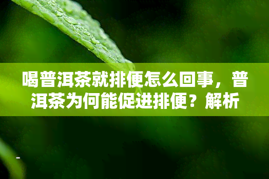 喝普洱茶就排便怎么回事，普洱茶为何能促进排便？解析其科学原理与健效益