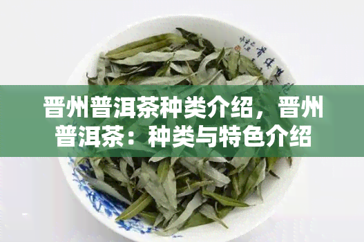 晋州普洱茶种类介绍，晋州普洱茶：种类与特色介绍