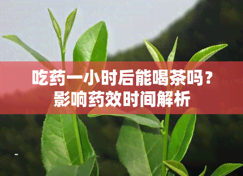 吃一小时后能喝茶吗？影响效时间解析