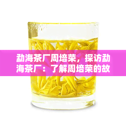 勐海茶厂周培荣，探访勐海茶厂：了解周培荣的故事和制茶技艺