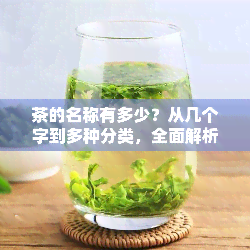 茶的名称有多少？从几个字到多种分类，全面解析