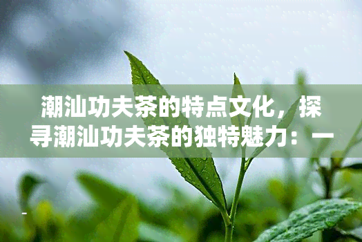 潮汕功夫茶的特点文化，探寻潮汕功夫茶的独特魅力：一种深深植根于地方文化中的传统饮品