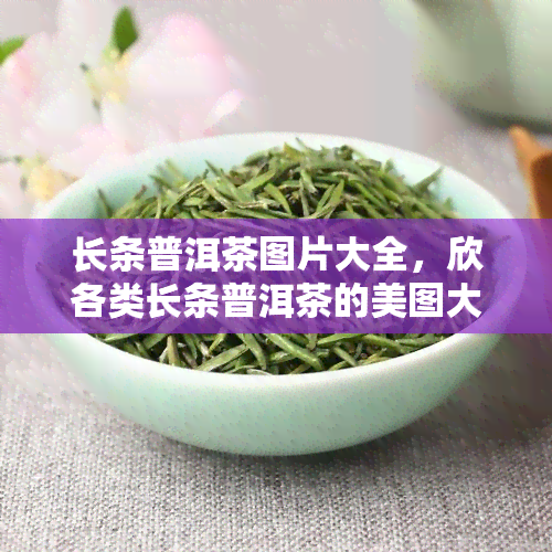 长条普洱茶图片大全，欣各类长条普洱茶的美图大全！