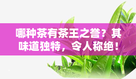 哪种茶有茶王之誉？其味道独特，令人称绝！