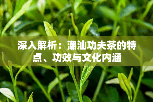 深入解析：潮汕功夫茶的特点、功效与文化内涵