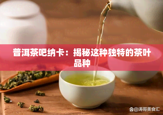 普洱茶吧纳卡：揭秘这种独特的茶叶品种