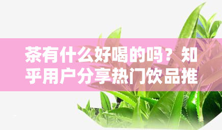 茶有什么好喝的吗？知乎用户分享热门饮品推荐及图片