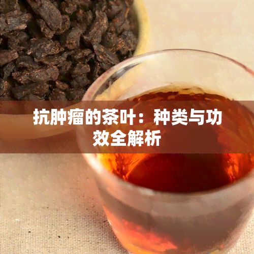 抗肿瘤的茶叶：种类与功效全解析