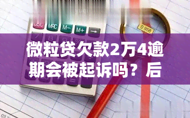 微粒贷欠款2万4逾期会被起诉吗？后果及解决方法全解析