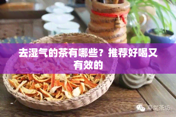 去湿气的茶有哪些？推荐好喝又有效的