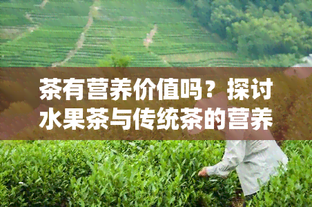 茶有营养价值吗？探讨水果茶与传统茶的营养价值差异