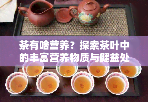 茶有啥营养？探索茶叶中的丰富营养物质与健益处