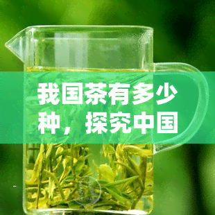 我国茶有多少种，探究中国茶文化的丰富多样性：了解我国的茶叶种类