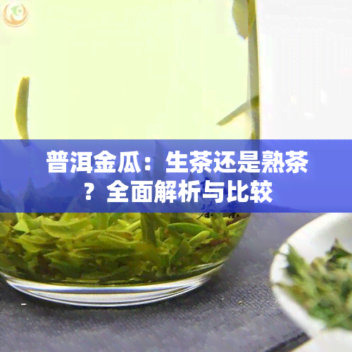 普洱金瓜：生茶还是熟茶？全面解析与比较