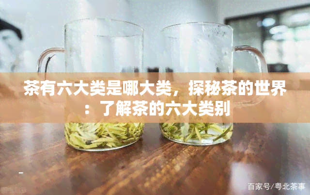 茶有六大类是哪大类，探秘茶的世界：了解茶的六大类别