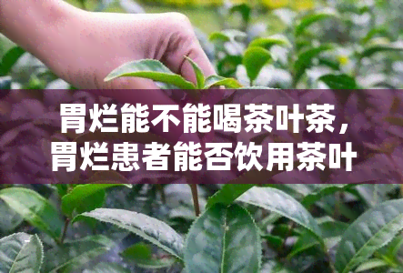 胃烂能不能喝茶叶茶，胃烂患者能否饮用茶叶？