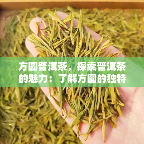 方圆普洱茶，探索普洱茶的魅力：了解方圆的独特之处