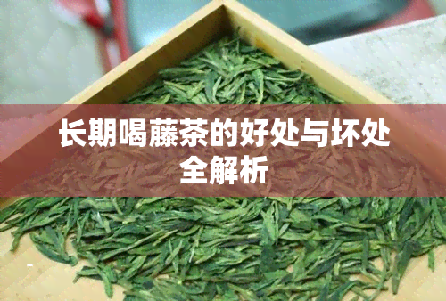 长期喝藤茶的好处与坏处全解析