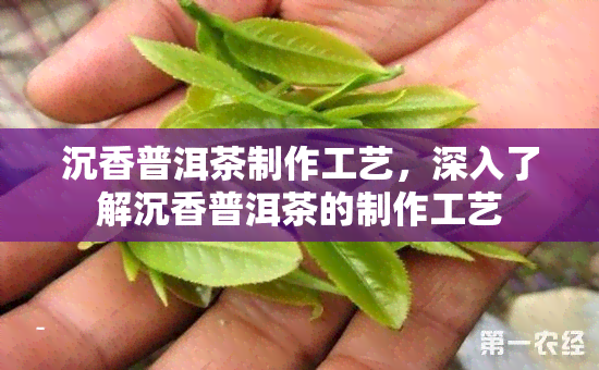 沉香普洱茶制作工艺，深入了解沉香普洱茶的制作工艺