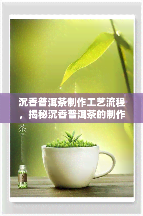 沉香普洱茶制作工艺流程，揭秘沉香普洱茶的制作工艺流程