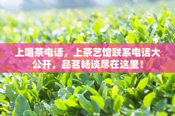 上喝茶电话，上茶艺馆联系电话大公开，品茗畅谈尽在这里！