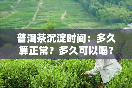 普洱茶沉淀时间：多久算正常？多久可以喝？