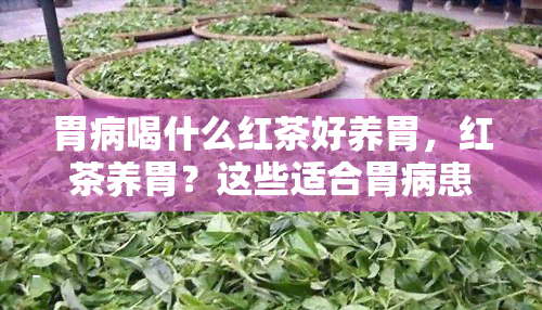 胃病喝什么红茶好养胃，红茶养胃？这些适合胃病患者的红茶不妨一试！